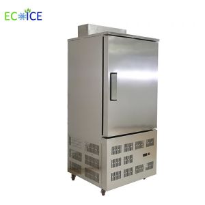 Compact 300L Air Blast Freezer Cold Plate Freezer Deep Freezer Commercial with