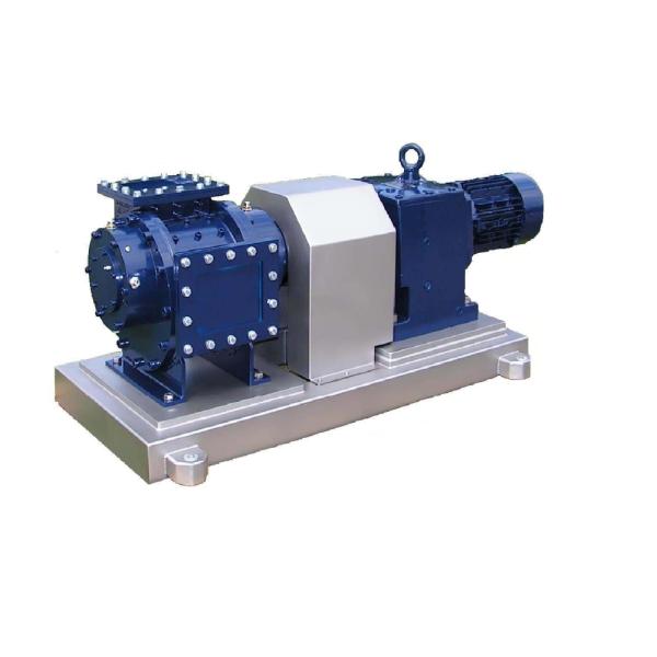 Stainless Steel Lamella Pump For Rendering Plant