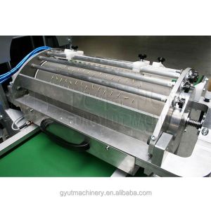 Hydroponic Sponge Seed Planter Line for Seeding Cucumbers and Squash Automatical