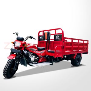 50 * 100 Motorized Cargo Trike 250cc Three Wheel Motorcycle Fuel Type Petrol