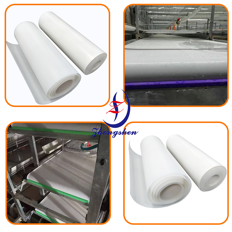 Quality Chicken Coop PP material Manure Conveyor Belt for Poultry Chicken Cage for sale