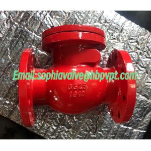 DIN PN16 metal seal flanged swing check valve