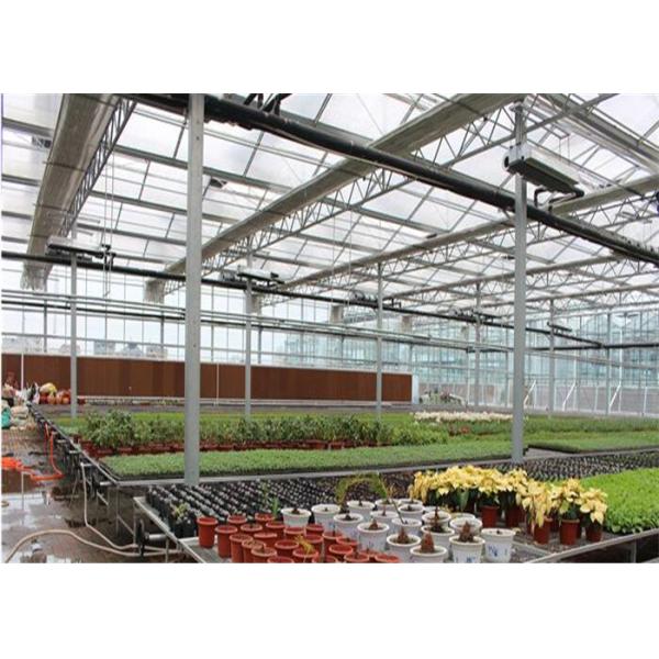 Buy Large Ventilated Area Forest Garden Greenhouse Galvanized Frame Finishing at wholesale prices