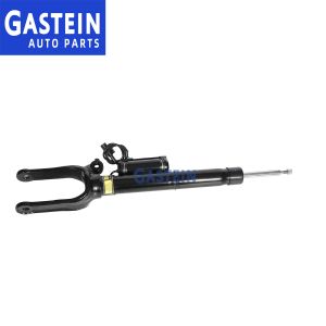 2513200730 2513200330 Mercedes W251 Front Hydraulic Shock