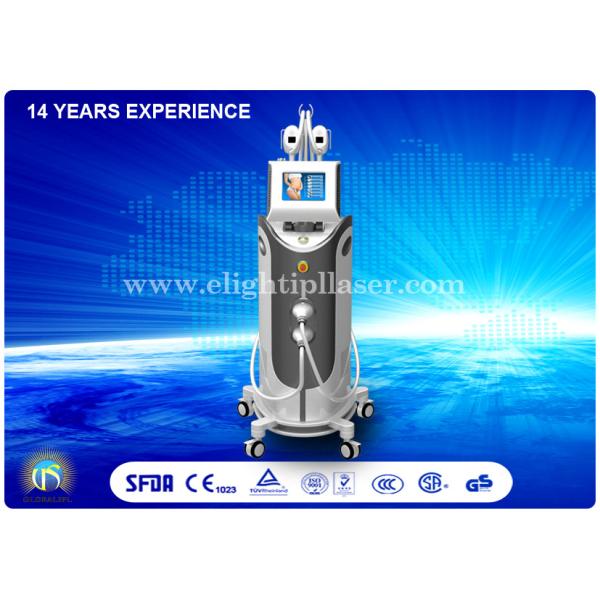 Buy Fat Freezing Machine Cryolipolysis Machine Body Shaping With 4 handles at wholesale prices