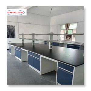 Efficient Fast Installation for Laboratory Furnitures with Export Plywood