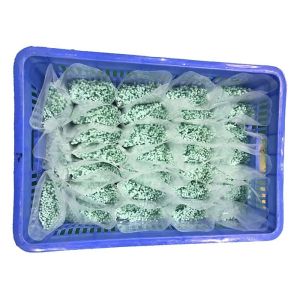 REACH Slight Green 120 Degree 2.5mm Nylon Cable Ties