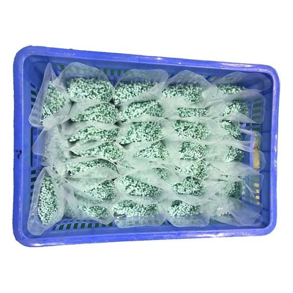 Buy REACH Slight Green 120 Degree 2.5mm Nylon Cable Ties at wholesale prices