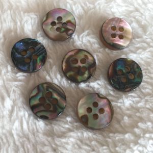 2021 New popular abalone ayoya river MOP shell button