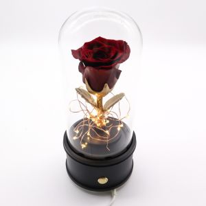 Eternal Handmade Design Preserved Rose Glass Dome With Bluetooth Speaker