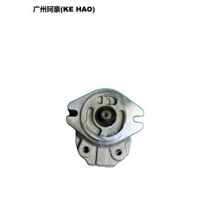 Standard 705-22-26260 D41E D41P Pump Assembly