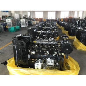 50kw Lovol Generator 1500rpm 1006NG Electric Generator Set