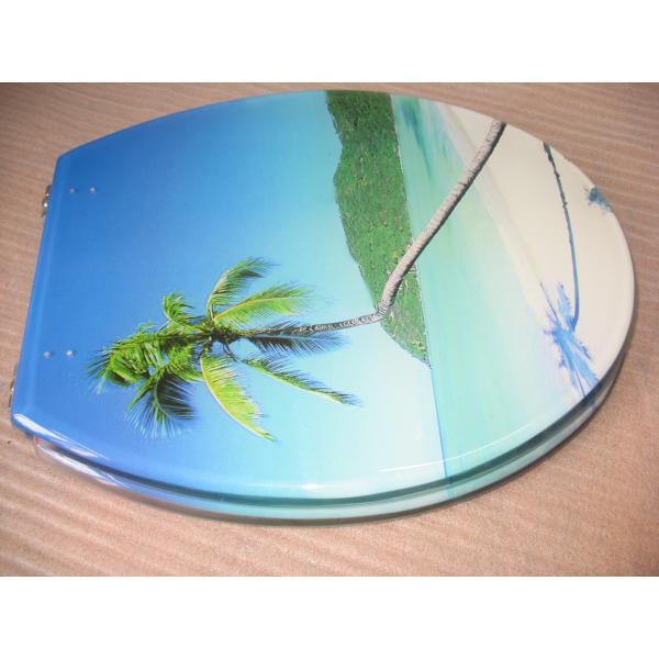 Buy WC-Sitze cover,18',round,enlong,color, at wholesale prices