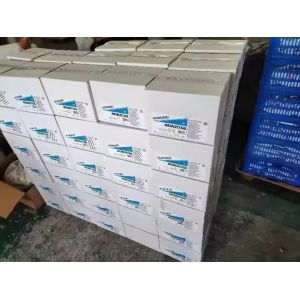 GASKET MAKER REINZOLIL Rtv Silicone Sealant with Blue Box