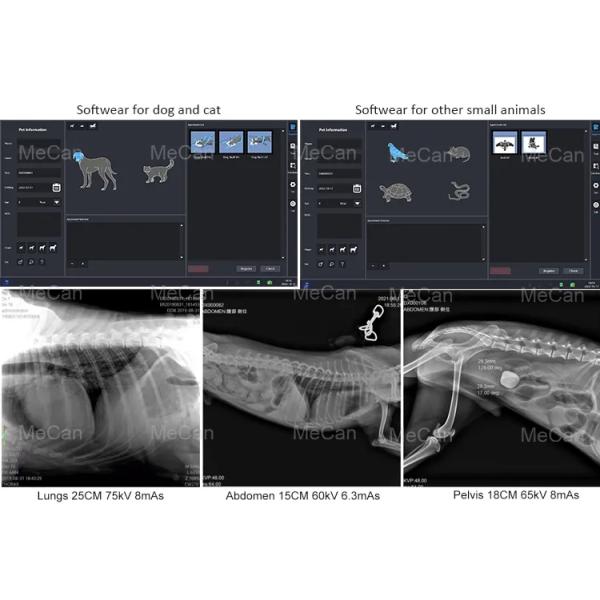 20KW Digital X Ray Machine High Frequency Medical 110kV For Veterinary Clinic