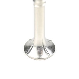 Phillips Cross Recess Drive Type Stainless Steel 75mm Timber Screws for Wood