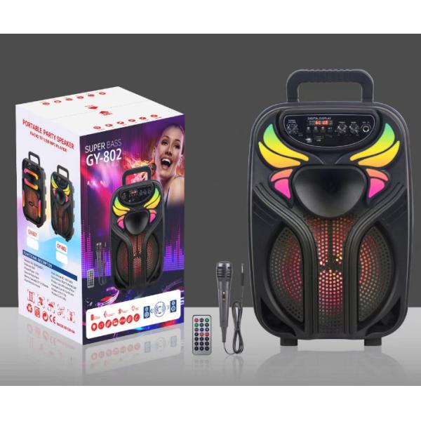 Temeisheng New Big Wireless Bluetooth Portable Party Speaker With LED Lighting