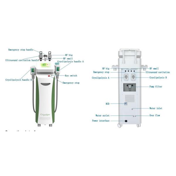 New style 5 handles multifunctional 3 in 1 cryolipolysis slimming machie