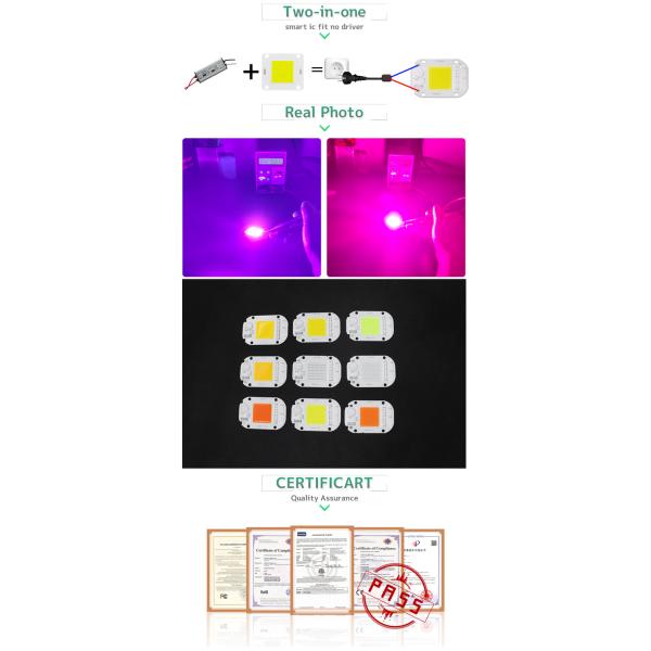 6500K 20W Chip LED COB Nature Cold Blue Red For Landscape Lighting