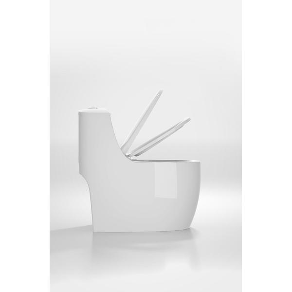 White Glazed One Piece Wc Dual Flush S Trap Ceramic Toilet Bowl Sanitary Ware