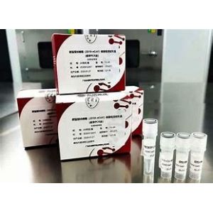 Nasal Swab Fast Check Rapid Antigen Self Test Home Kit
