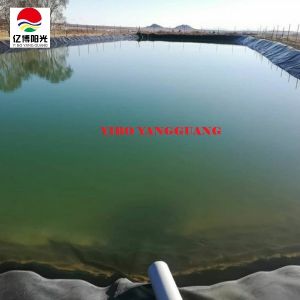 0.2mm-3mm Industrial Fish Farm Pond Liners Waterproof Design for Industrial