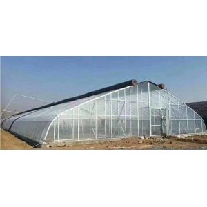 Aquaculture Steel Structure Solar Greenhouse with Quilt Rolling Shutter and