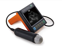 Buy Digital Medical Veterinary Ultrasound Scanner With 3.5 Inch Screen And Frequency Of Porbe 2.5M 3.5M at wholesale prices