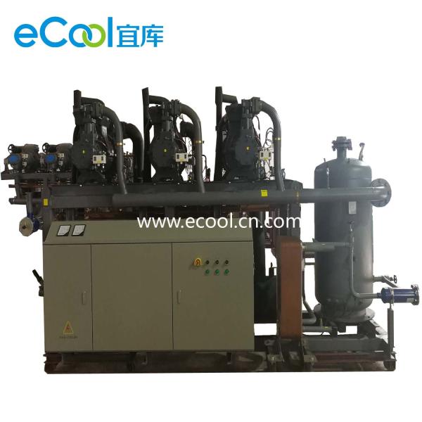 Low Noise Screw Parallel Refrigeration Compressor Unit For Cold Storage