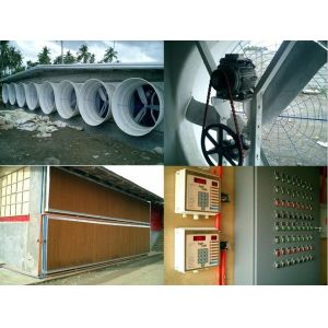 China WorldPoultry - Night time cooling pad operation during extremely hot  on sale