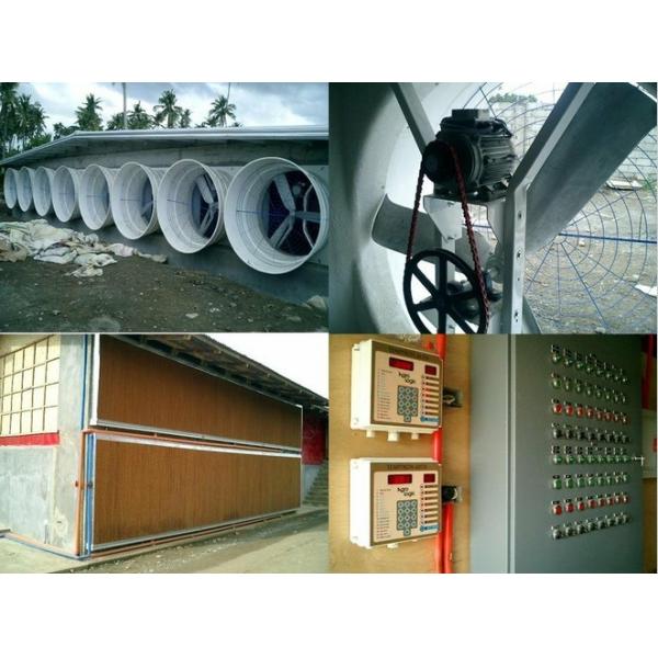 Buy WorldPoultry - Night time cooling pad operation during extremely hot  at wholesale prices