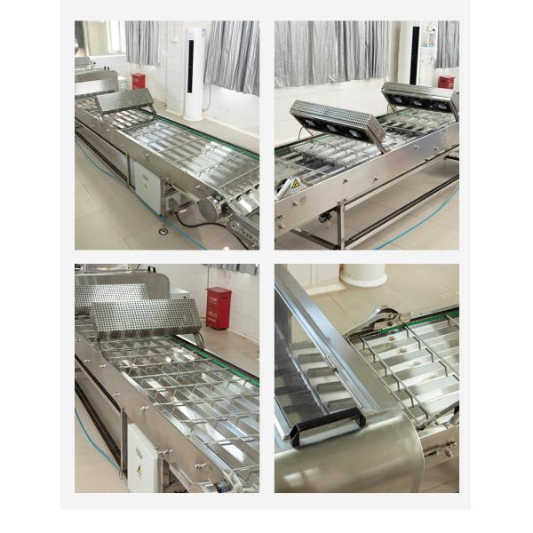 Commercial Baking Electric Marshalling Cooling Conveyor Field Installation