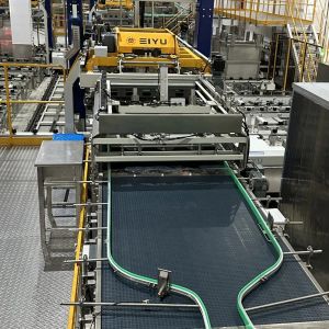 Fully Automatic Doypack Pouch Pet Food Packaging Machine with Customized