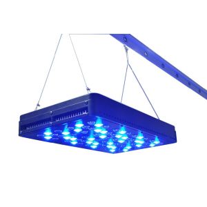 Quality garden led plant lighting, Full Spetrum LED Grow Light for Flowering Veg ,growing plants for sale