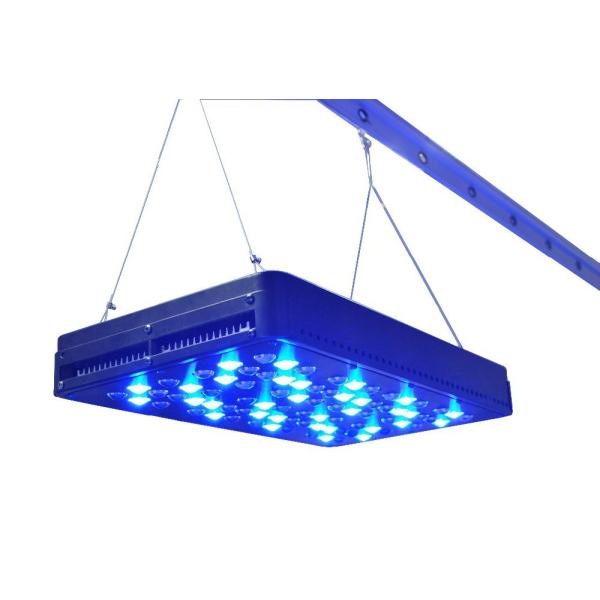 Buy greenhouse hydroponics green house led light CIDLY LED 200W led plant light led grow at wholesale prices