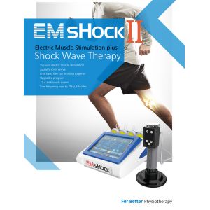 10.4 Touch Screen ESWT Therapy Machine For Body Massage