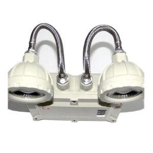 IP65 Automatic Twin Head Flameproof Emergency Light Explosion Proof