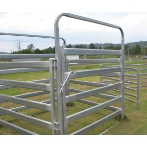 Australia standard galvanized cattle panel fence Cattle Crush,Cattle Chute