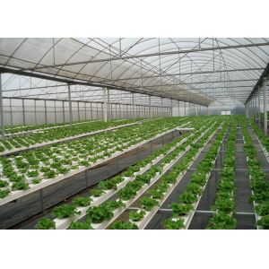 High Density NFT Hydroponics System Fast Harvest Cycle Automatic Control