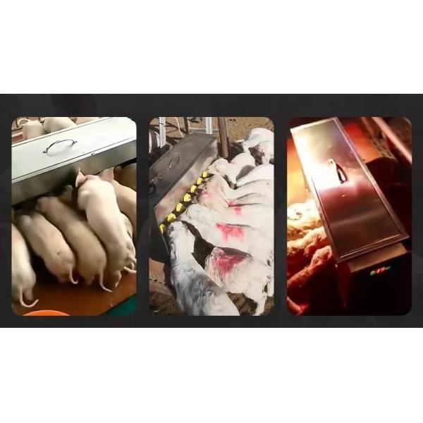 Automatic Livestock Milk Feeding Machine For Calf Sheep Pig No Sedimentation