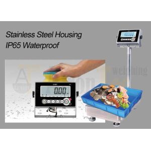 Stainless Steel LCD IP65 Weighing Scale Indicator