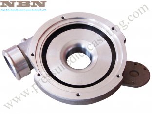 ODM OEM Custom Pressure Die Castings with painting surface finishing