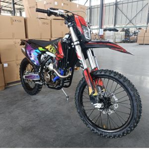 Loncin YBS300 292cc Liquid-Cooled 4-Stroke Enduro Motorcycle