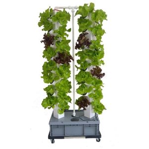 Perfect Vertical Column Hydroponic Aeroponic Planting System Aeroponic Growtower