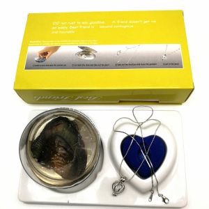 Friend Series Color Box Love Pearl Necklace Gift Box With Fashion Cage Pendant