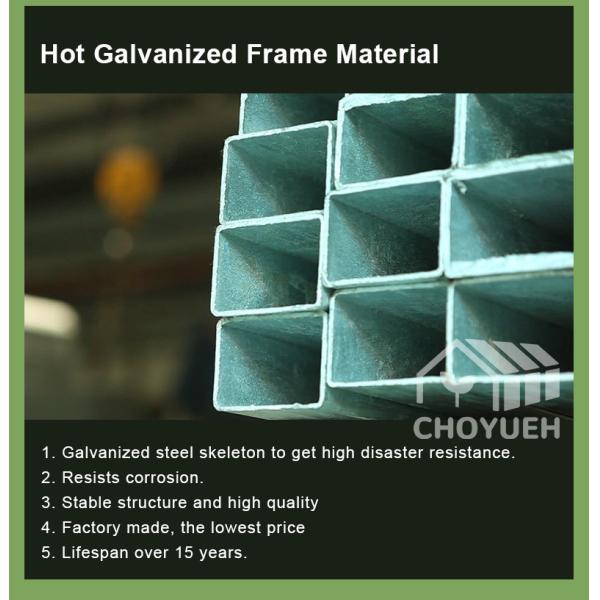 Hot Galvanzied Steel Pipe Agricultural Venlo Glasshouse Turnkey Project