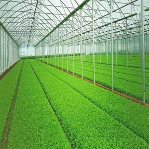 1.4KN/M2 Max Snow Load Greenhouse PV Panel Mounting Systems