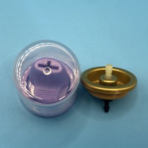 Volumizing Hair Mousse Spray Valve Lift and Boost Your Hair