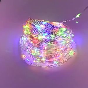 100/200/300 LED Rope String Lights Waterproof Copper Wire Tube Fairy Garland