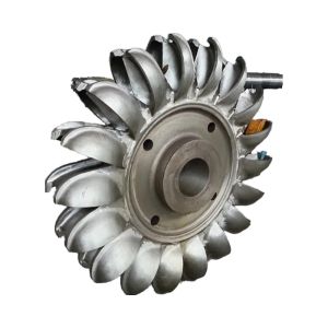 Single or Multi-Jet Runner Type Hydro Jet Turbine with Stainless Steel